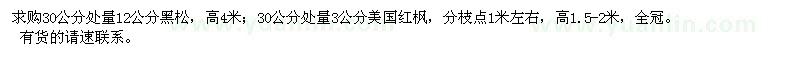 求購(gòu)30公分處量12公分黑松,3公分美國(guó)紅楓