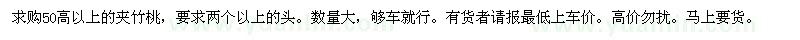 求購50高以上的夾竹桃