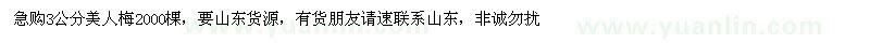 求購3公分美人梅2000棵