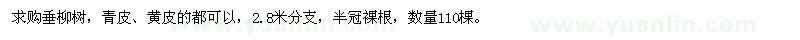 求購垂柳樹