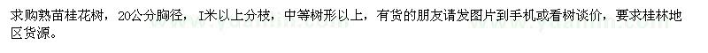 求購(gòu)熟苗桂花樹