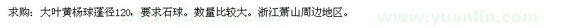 求購(gòu)大葉黃楊球P120
