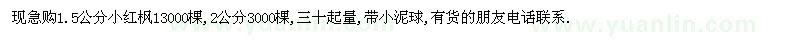 求購急1.5公分和2公分小紅楓
