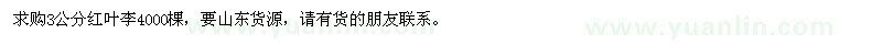 求購3公分紅葉李4000棵