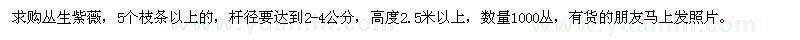 求購(gòu)叢生紫薇