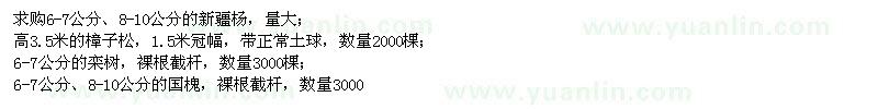 求購(gòu)新疆楊,樟子松,欒樹,國(guó)槐,元寶楓