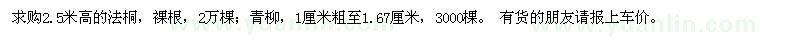 求購(gòu)法桐,青柳