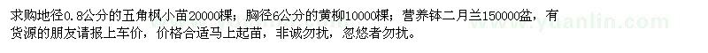 求購五角楓,黃柳,二月蘭