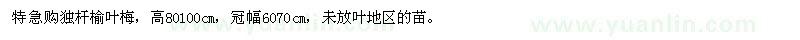 求購獨桿榆葉梅10000棵