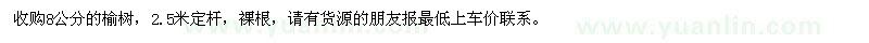 求購8公分的榆樹
