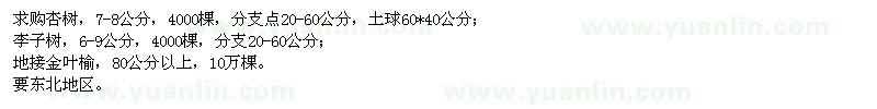 求購杏樹,李子樹,地接金葉榆