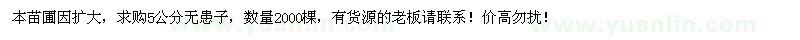 求購5公分無患子2000棵