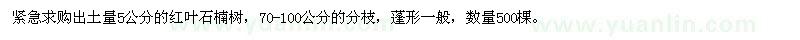 求購出土量5公分的紅葉石楠樹