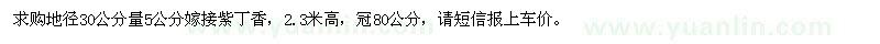 求購5公分嫁接紫丁香