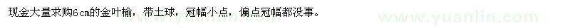 求購6cm的金葉榆