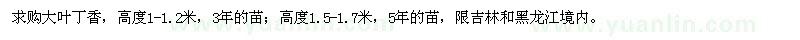 求購大葉丁香