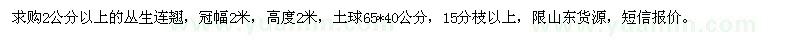 求購2公分以上的叢生連翹