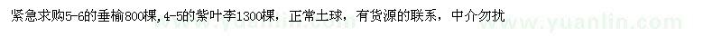 求購5-6的垂榆,4-5的紫葉李