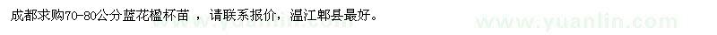 求購70-80公分藍花楹杯苗