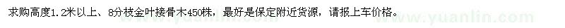求購高度1.2米以上的金葉接骨木