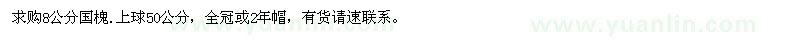 求購8公分國槐