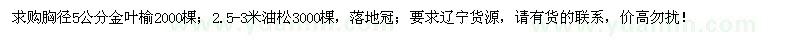 求購胸徑5公分金葉榆、2.5-3米油松