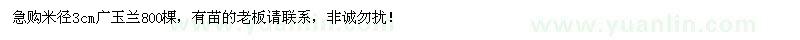 求購急購米徑3cm廣玉蘭