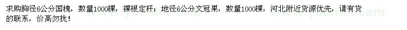 求購(gòu)6公分國(guó)槐、文冠果各1000棵