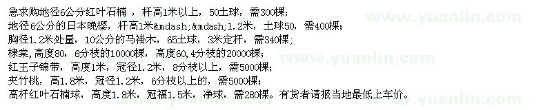 求購(gòu)紅葉石楠，櫻花，馬褂木，夾竹桃，紅王子錦帶等