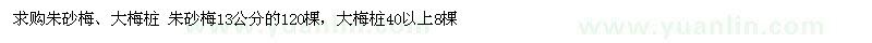 求購 朱砂梅  大梅樁