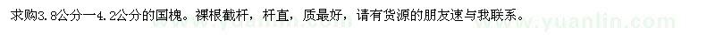 求購(gòu)3.8公分一4.2公分的國(guó)槐