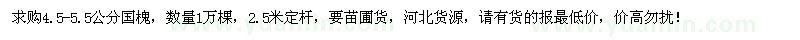 求購4.5-5.5公分國槐1萬棵