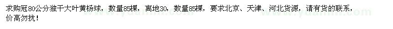 求購冠80公分獨(dú)干大葉黃楊球85棵
