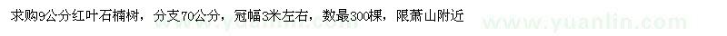 求購9公分紅葉石楠樹