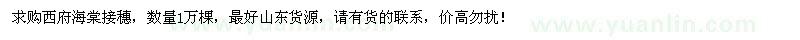 求購西府海棠接穗1萬棵