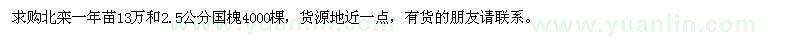 求購北欒一年苗、國槐