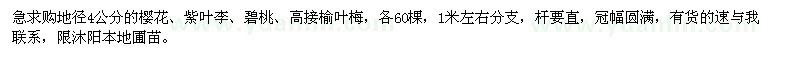 求購地徑4公分的櫻花,紫葉李,碧桃,高接榆葉梅