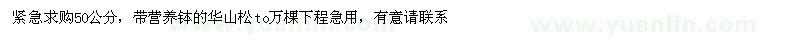 求購50公分華山松