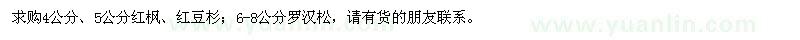 求購紅楓、紅豆杉、羅漢松