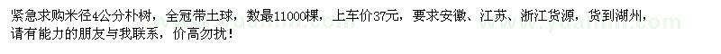 求購米徑4公分樸樹11000棵