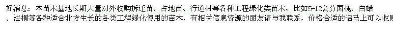 求購5-12公分國槐、白蠟、法桐等各種工程綠化苗木