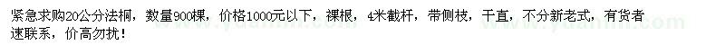 求購20公分法桐900棵