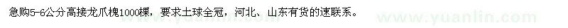 求購(gòu)5-6公分高接龍爪槐