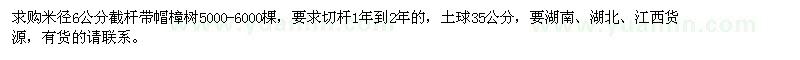 求購(gòu)6公分樟樹(shù)