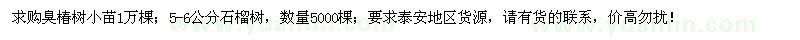 求購(gòu)臭椿樹小苗、5-6公分石榴樹