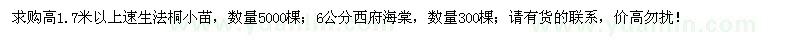 求購速生法桐小苗、西府海棠