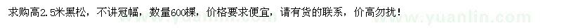 求購(gòu)高2.5米黑松600棵