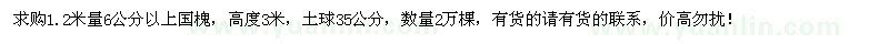 求購(gòu)6公分國(guó)槐2萬(wàn)棵