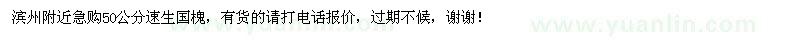 求購急50公分速生國(guó)槐