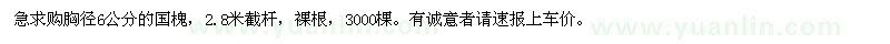 求購(gòu)胸徑6公分的國(guó)槐